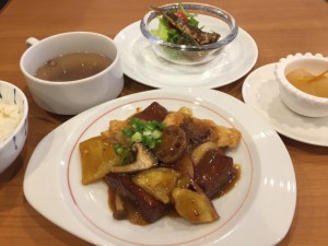 揚げ豆腐と根菜、鶏肉の田舎風煮込み